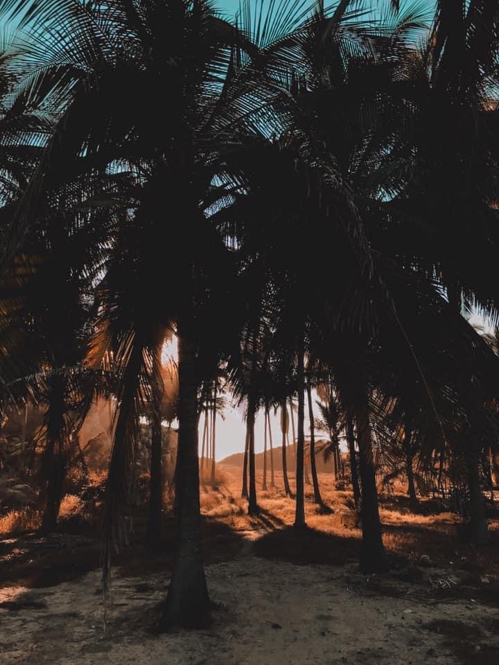 Playa El Venado, Oaxaca